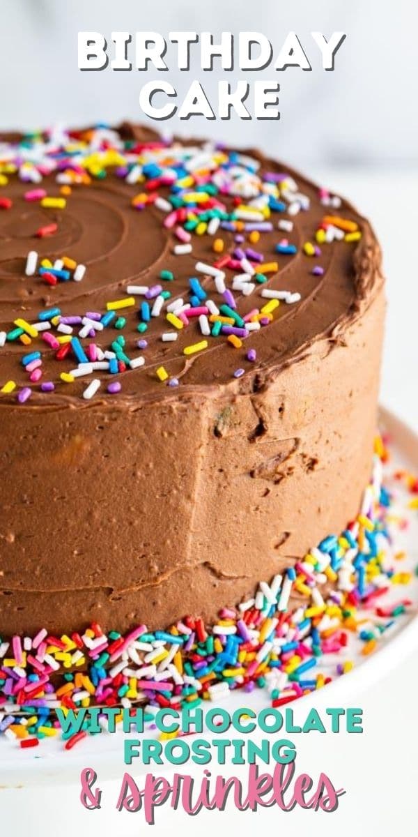 Chocolate frosting birthday cake with rainbow sprinkles and recipe title on image